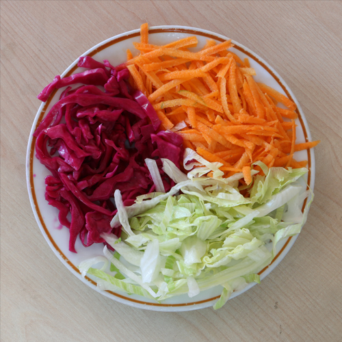 Mevsim Salata