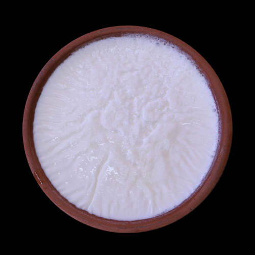 Yoğurt